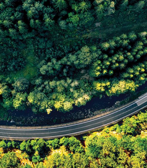 ESG Report cover image which includes an aerial shot of trees.